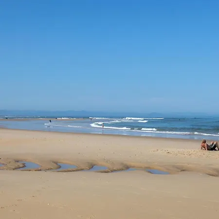 Au Calme * Soorts-Hossegor